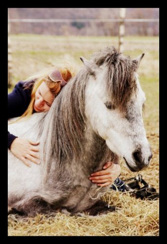 Ma soeur avec son poney étalon éclair ! une petite sieste...