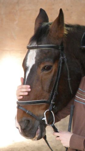 Normat RIP