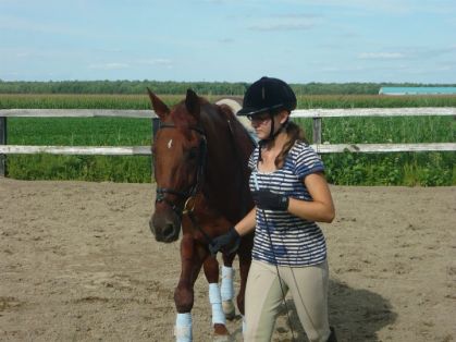 Été 2011
