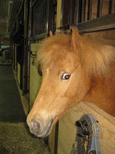 Praline me reguarde avec de gros yeux!