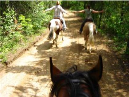 Photo au galop!