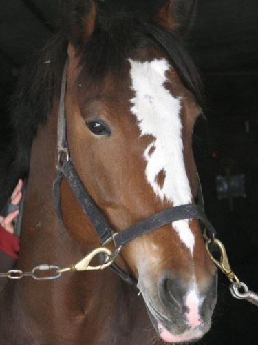 photo par Merline