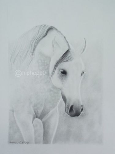Voici un dessin que j'ai fait à partir d'une image. Tout est...