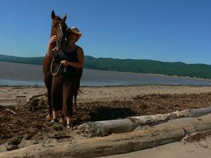 Une balade sur la plage de Sandy Beach!