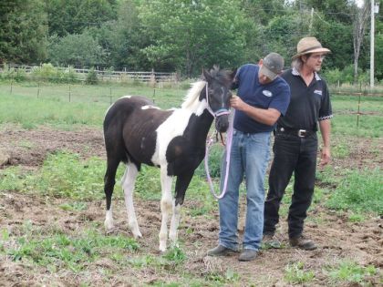 Petit souvenir du jour o&ugrave; elle est arriv&eacute; parmis nous 3 Aout 2011