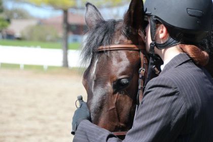 Défi Sportif '12 ; Je l'aime tellement ce cheval <3 