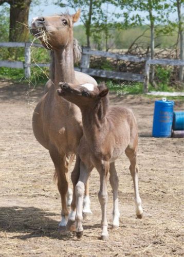 B&eacute;b&eacute; et Maman Barbie<3