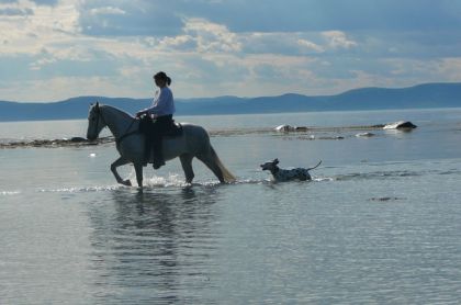 Mon entraineur avec son cheval Éclair et sa chienne Duchesse