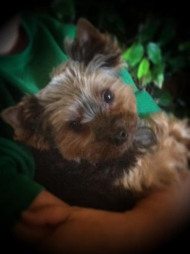 Mon bébé, le p'tit dernier