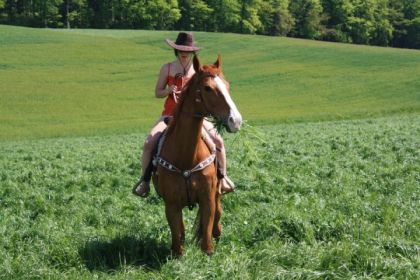 Le meilleur des chevaux n'est pas celui qui t'as mené ou tu...