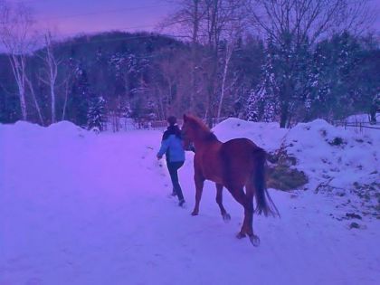 photo par Cowgirl_48