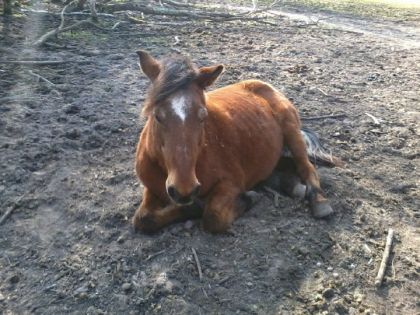 Ma petite Katia se fait vieille <3 =p