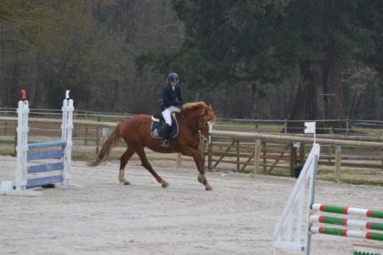 Fin du parcours de saut