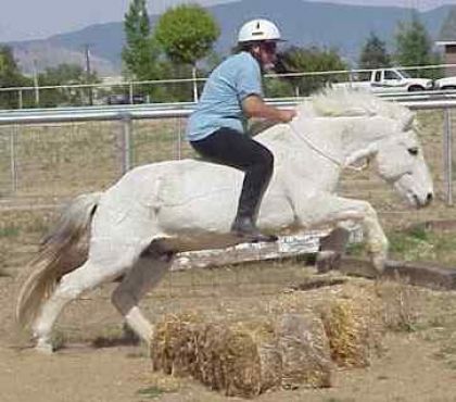 Jumping Bareback and Bridleless (Le cheval ne porte pas un frein...