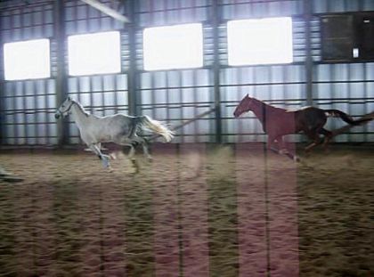 au galop :)