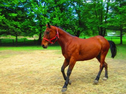 un p'ti galop et on en profite pour ce d'éfouler <3 