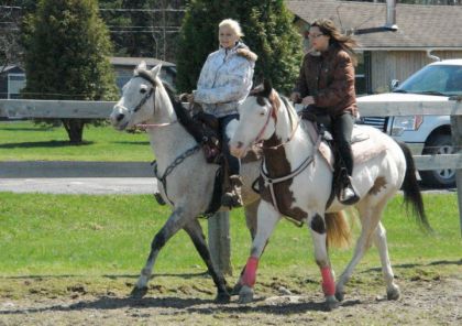 photo par Mariepier4 Valeriiep et Dapple et moi et Zephyr Juniors :)