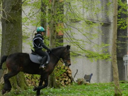 Cross avec Kyrielle (CCE)