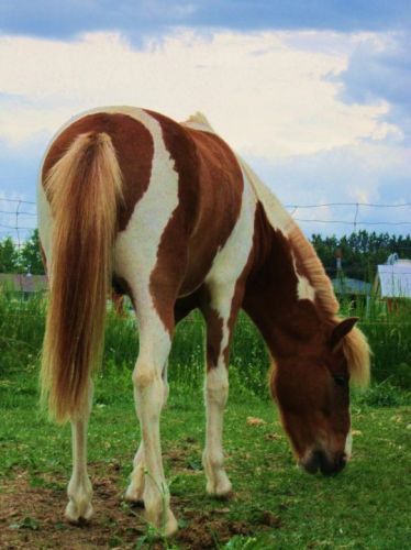 Belle fesse :3 J'adore la photo !