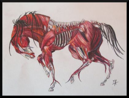 mon cheval macabre! que jai terminer aujourd'hui apres 2 ans LOL