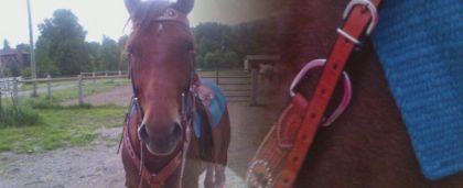 Mon Grand bonheur <3