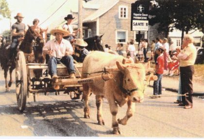 Charette tirée par un boeuf
