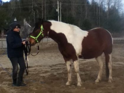 Moi et mon Baby Boy pour la première fois un petit travail au...