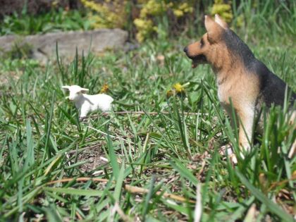 Encore une photo avec des figurines