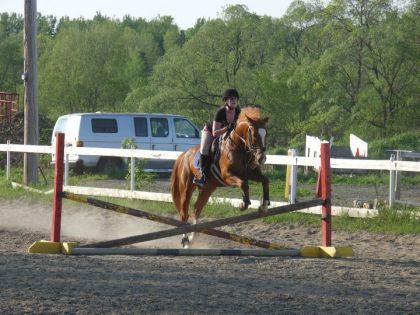 photo par annejuee. Entrainement du poney à l'obstacle (L)