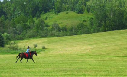 Ah nos beau paysage magnifique chez nous :3 