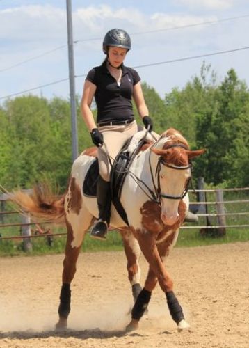 En amour avec cette photo! (et avec le cheval)