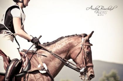 photo prise lors du cross CCI* à Bromont, je sais pas pourquoi...