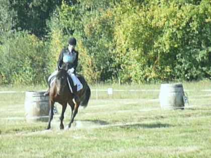 Premier concours complet avec Gédéon, épreuve de dressage à...