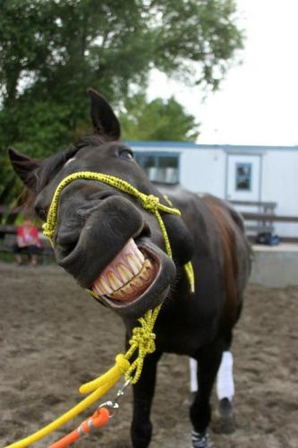 Smile for the camera