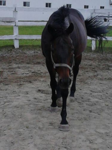 photo par Aliano