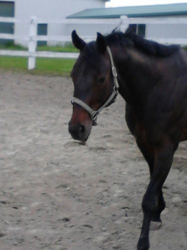 photo par Aliano