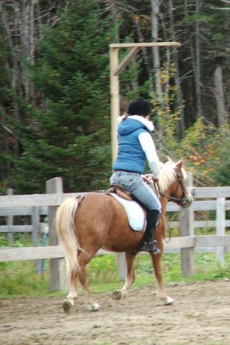mon poney au d&eacute;but avec lui c'&eacute;tait pas facile