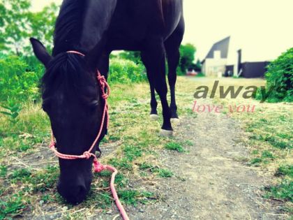 always love you xx