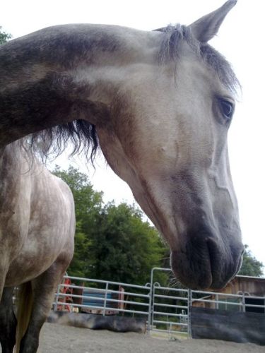 photo par angedor