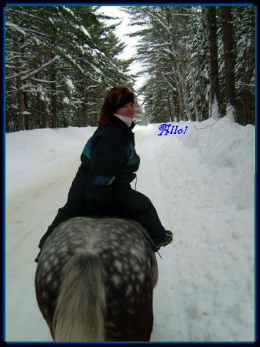 Moi et Silver on vous salue! :)