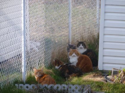 Mes 5 beaux mines un bon matin de printemps