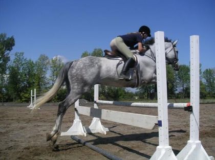 Irish cream sur un saut ^^