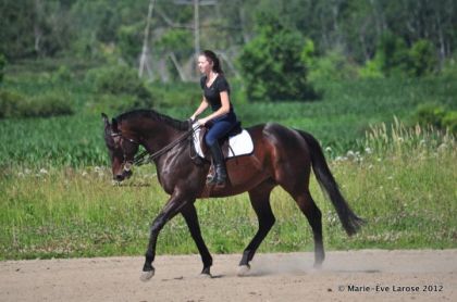 Mégane et mon cheval