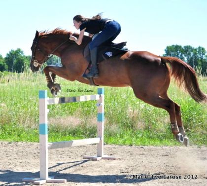 ripple et moi 4p2 :)