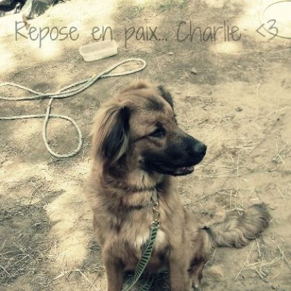 Repose en pais mon coeur <3 11/07/2012