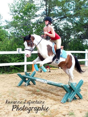 On se remet au saut d'obstacle apr&egrave;s tans d'ann&eacute;es !