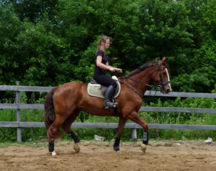 Entraînement au p'tit trot sur ma jument, juin 2012, :)