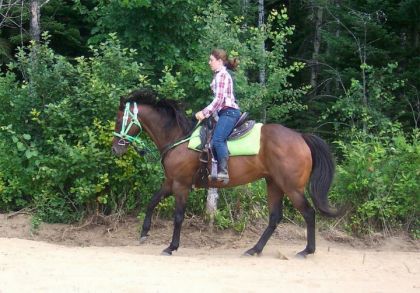 Moi et le beau Blitz a précieuse sur le site. Jadore la photo !