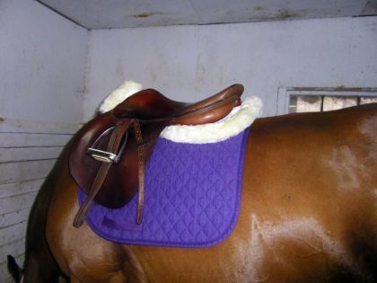 photo par Miss-TB Jaime bien cette photo parce que on voit ma nouvelle selle...