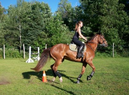 Entrainement sur ma jument, slaloom à 6 cônes, juillet 2012. :)